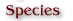 Species